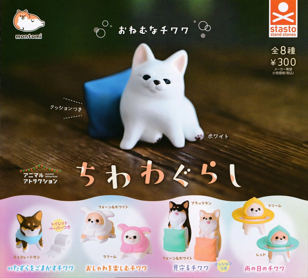 Animal atracción — chihuahuas (Stasto) · gachapon coleccionable