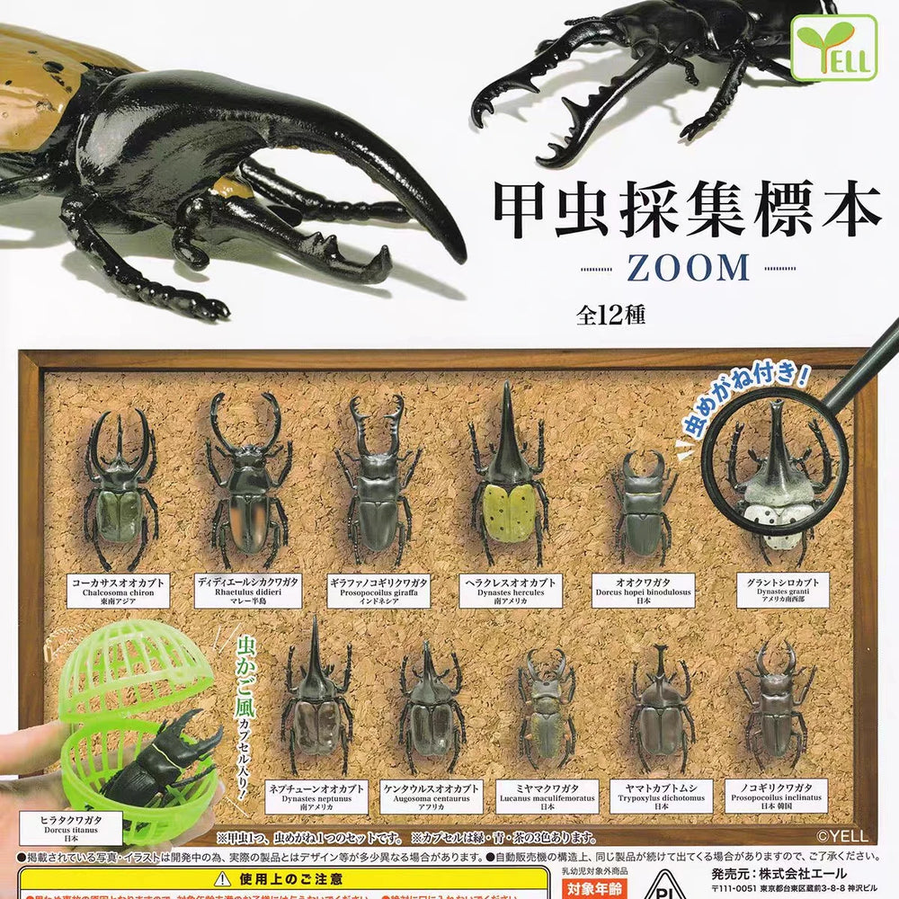 Escarabajos realistas con lupa (Yell) · gachapon coleccionable