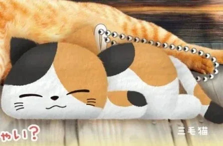 Gatos relajados durmiendo (Yumeya) — Don Gachapón, foto 3