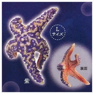 Piedritas con soporte Kikiki Karami — gachapon japonés, foto 6