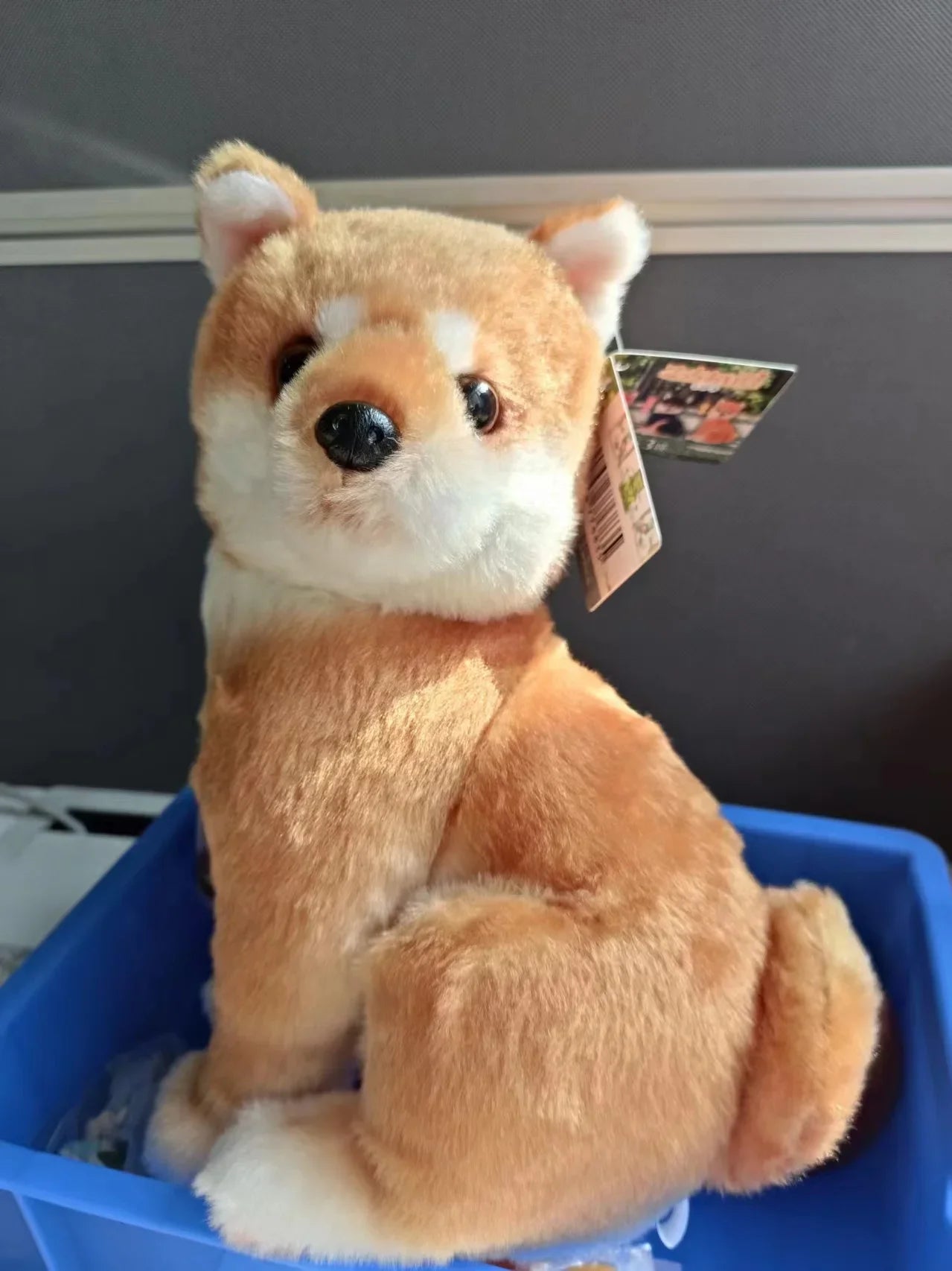 Shiba Inu ¡Ven aquí! — peluche grande (Yell) — Don Gachapón, foto 2