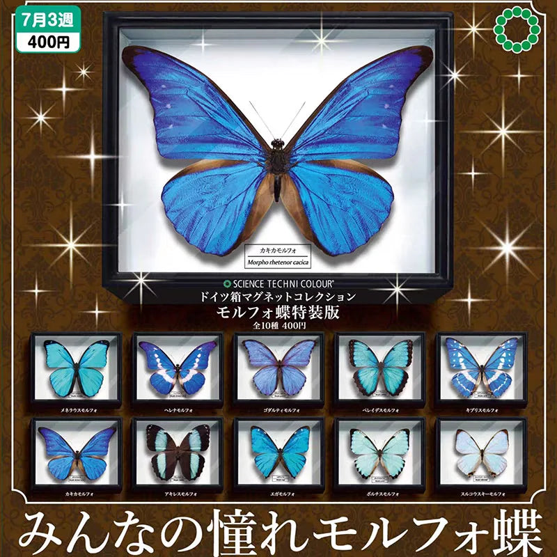 Cajas alemanas STC realistas (Ikimon) — gachapon japonés, foto 2