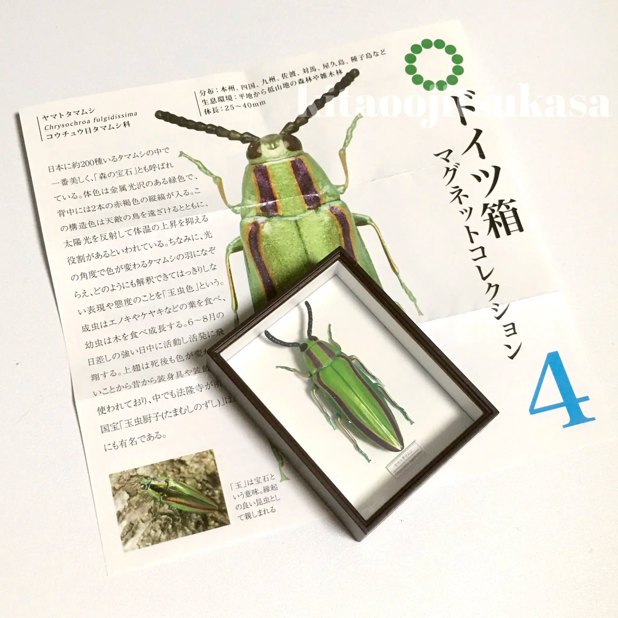 Imanes de cajas retro (Ikimon) — gachapon japonés, foto 5