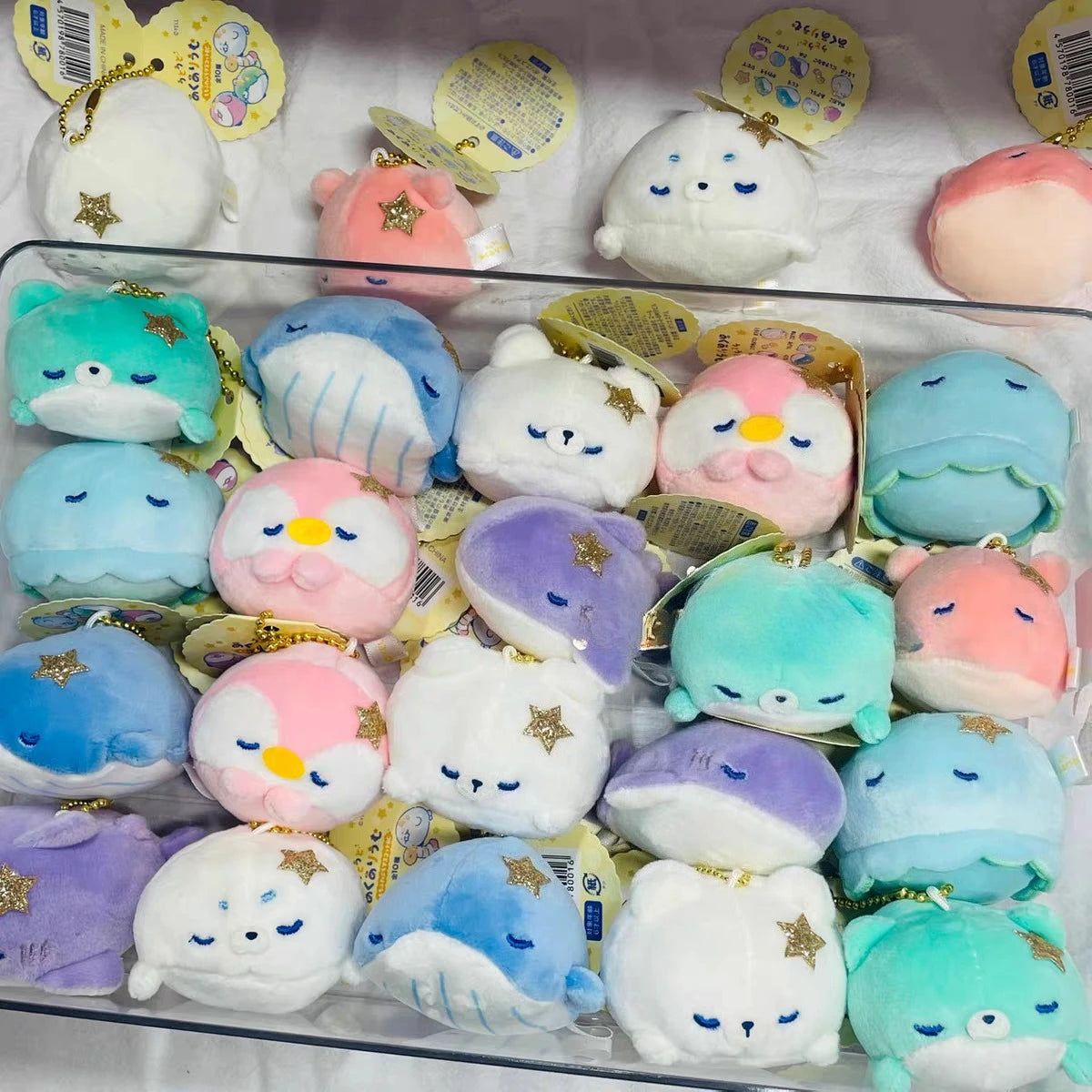 Utouto acuario Mochifuwa Petit