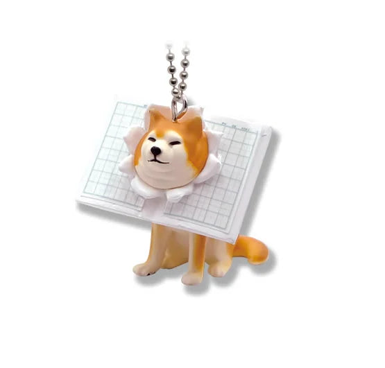 Shiba Inu kawaii