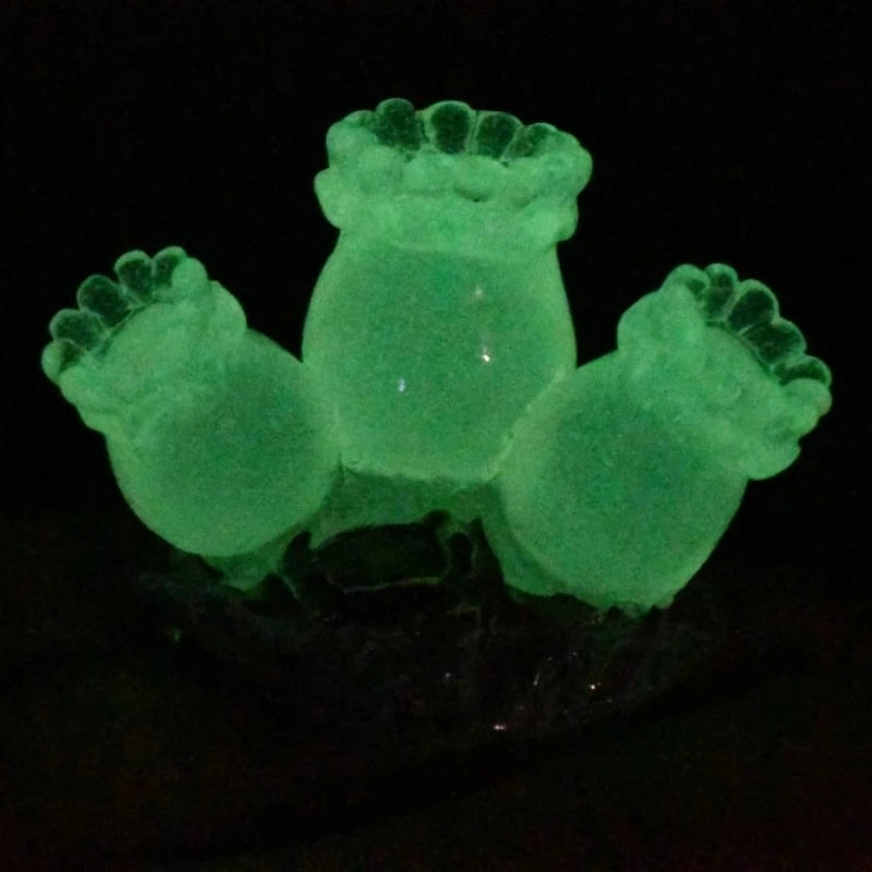 Corales fosforescentes (Amuse) — gachapon japonés, foto 4