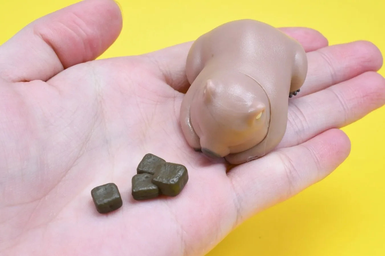 Wombats paticortos (Tarlin) — gachapon japonés, foto 4