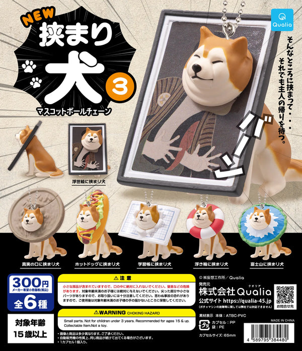 Shiba Inu kawaii