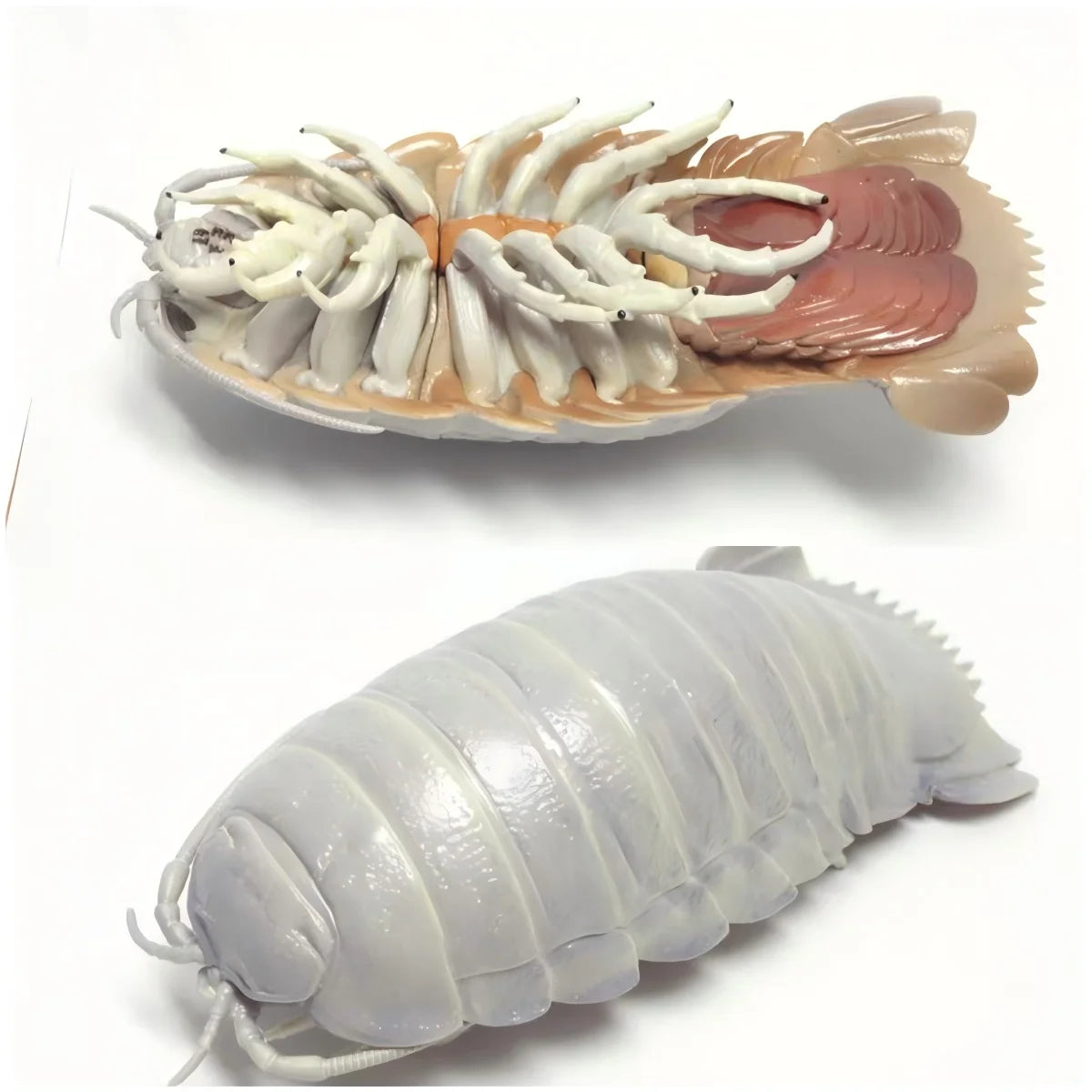 IKIMON Criaturas del mar profundo