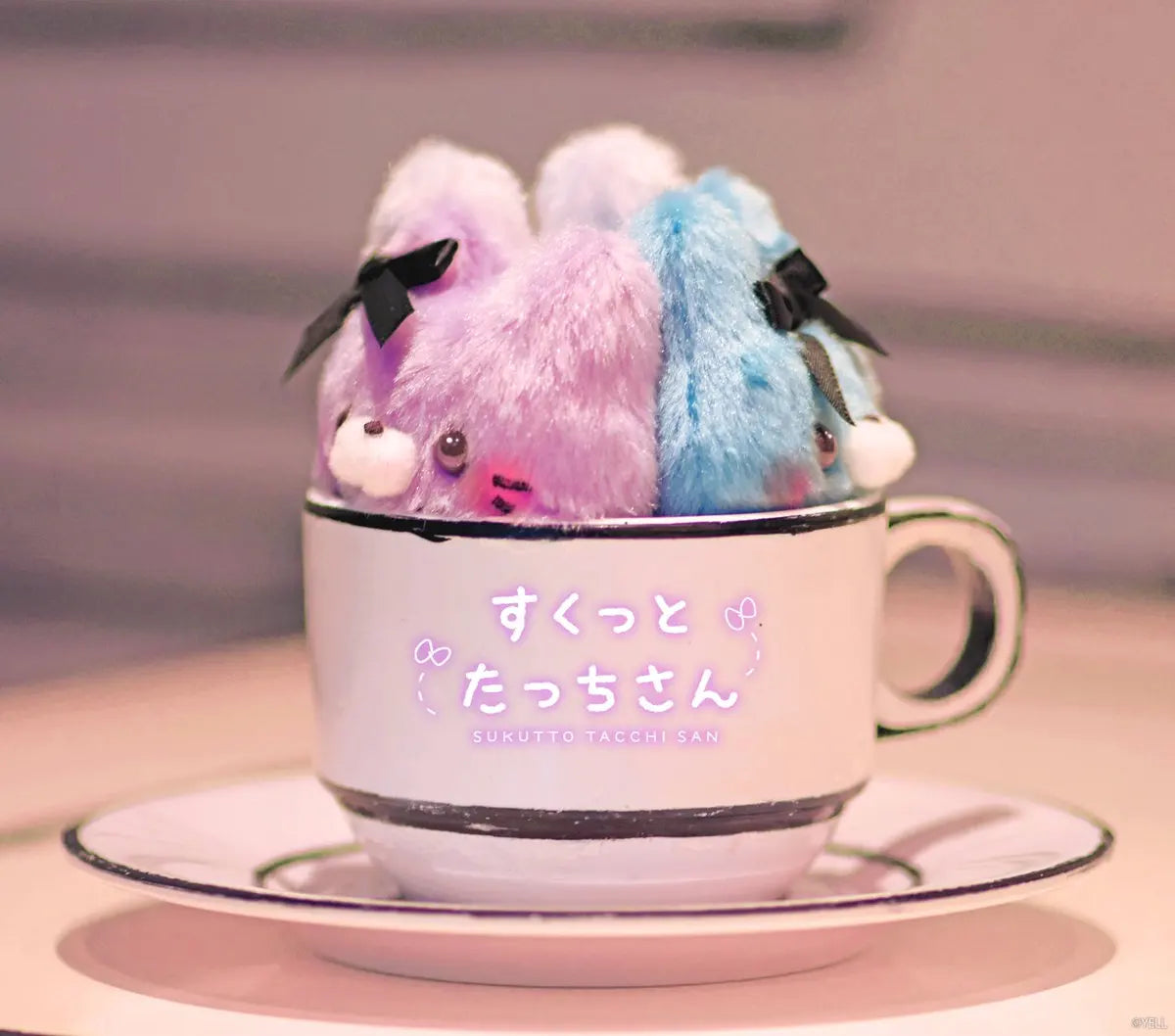 Yell Sukkutto Tatchi-san Kon Cafe conejitos