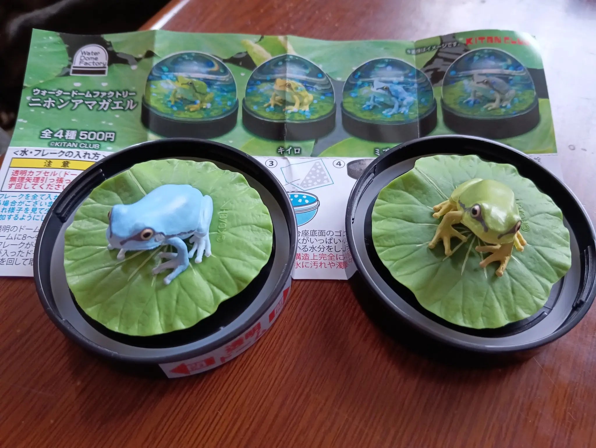 Ranitas en bola de agua — gachapon japonés, foto 3