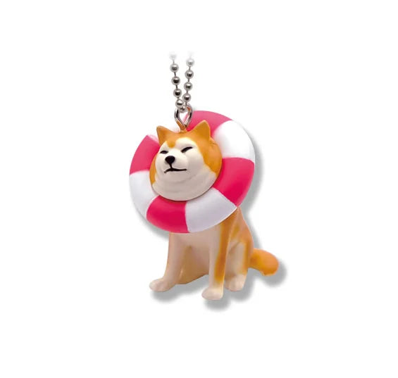 Shiba Inu kawaii