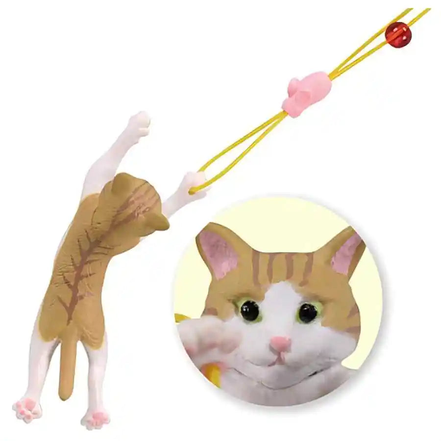 Gato atrapando una pelotita