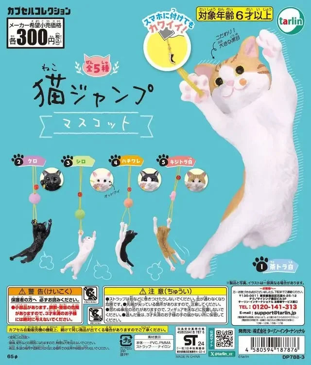Gato atrapando una pelotita