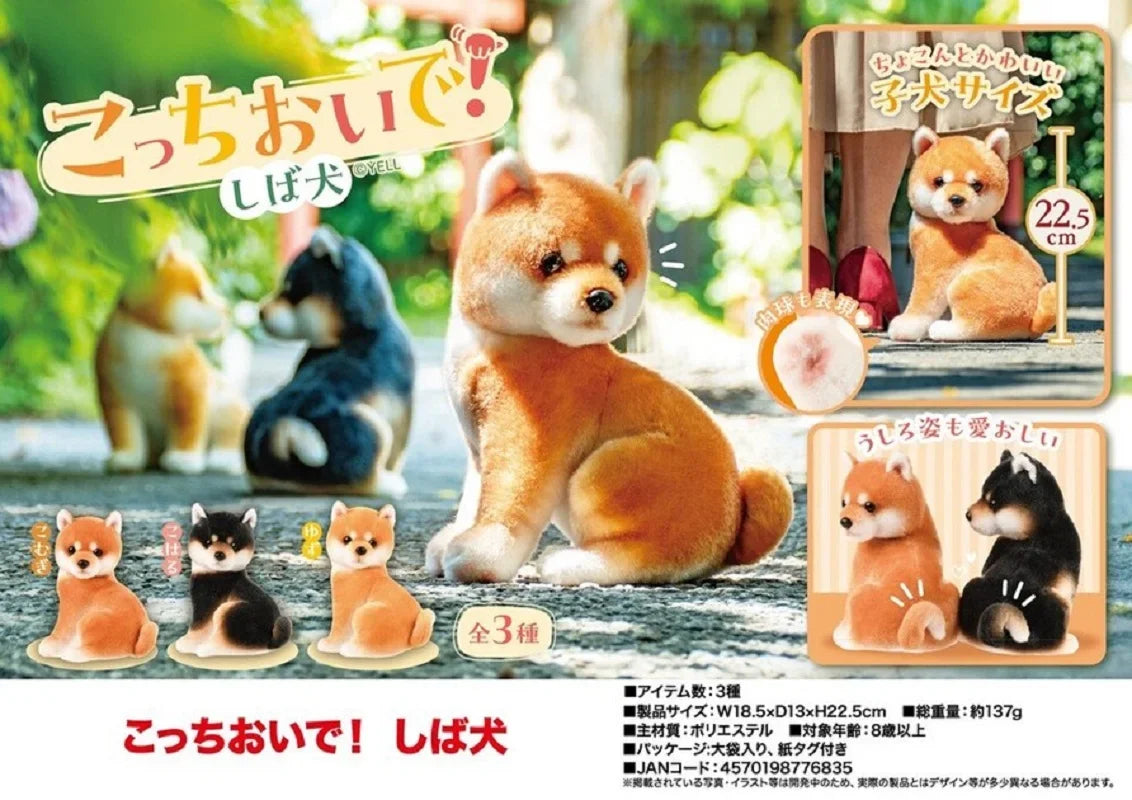 Shiba Inu ¡Ven aquí! — peluche grande (Yell) — Don Gachapón, foto 1