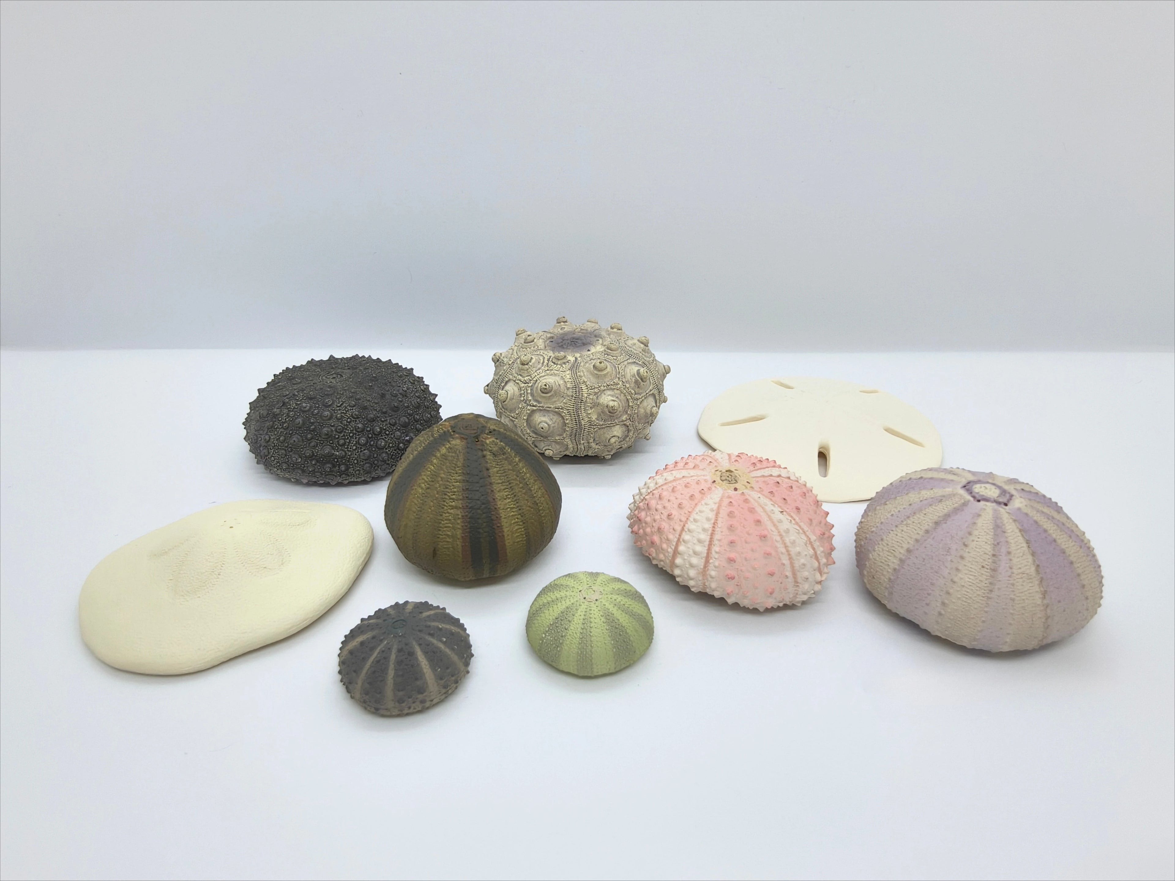 Conchas realistas NTC MONO+ (Ikimon) — gachapon japonés, foto 2