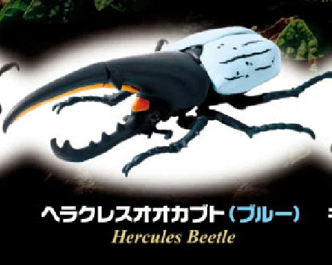 Escarabajos bonitos vol.2 (Yell) — gachapon japonés, foto 4