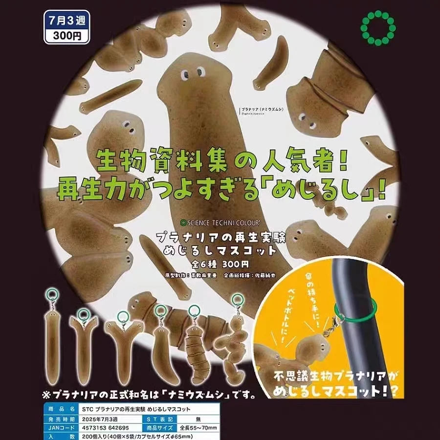 Turbelarios planos (Ikimon) — gachapon japonés, foto 1
