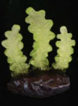 Corales fosforescentes (Amuse) — gachapon japonés, foto 7