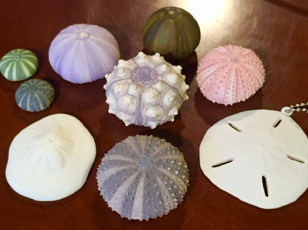 Conchas realistas NTC MONO+ (Ikimon) — gachapon japonés, foto 5