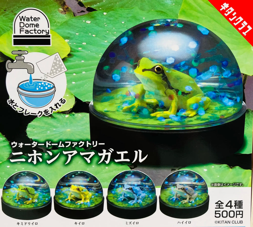 Ranitas en bola de agua · gachapon coleccionable