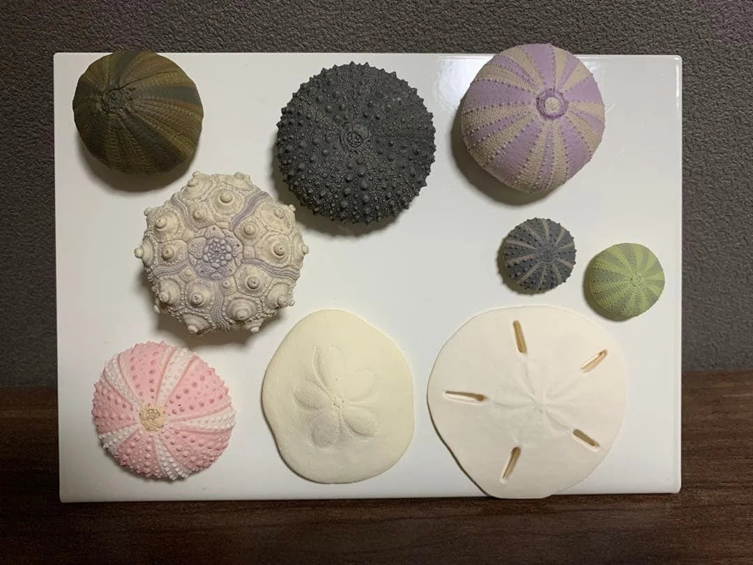 Conchas realistas NTC MONO+ (Ikimon) — gachapon japonés, foto 4