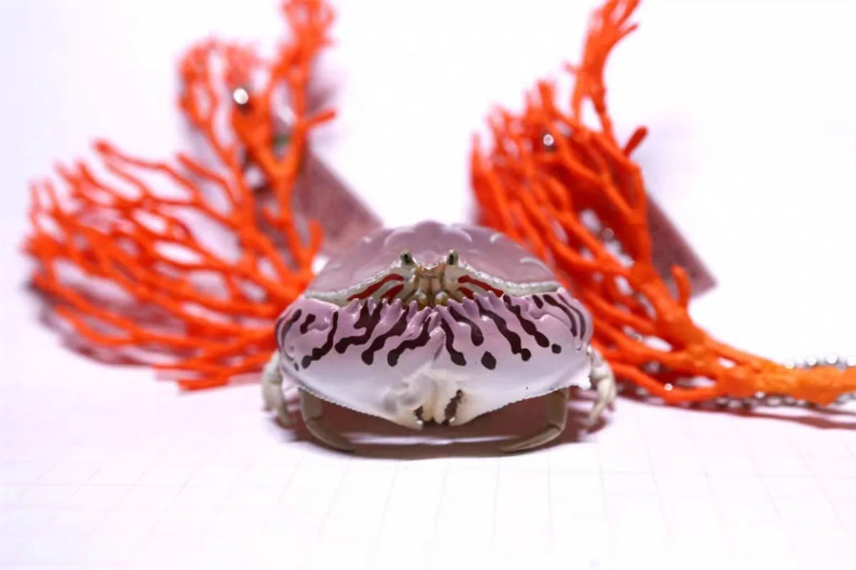 Criaturas costeras — imanes (Ikimon) — gachapon japonés, foto 2