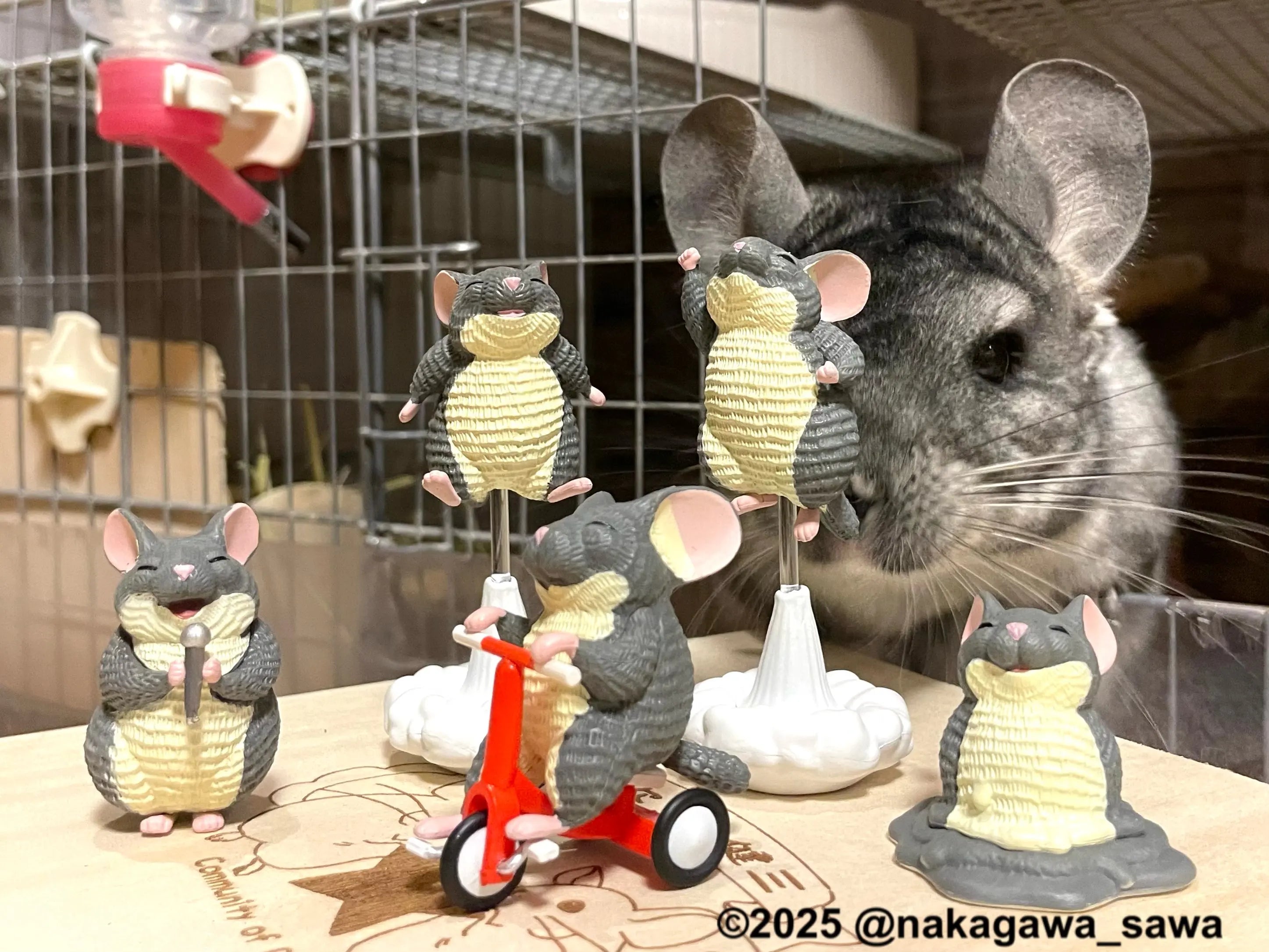 Chinchillas dignas (Koro Koro) — gachapon japonés, foto 2