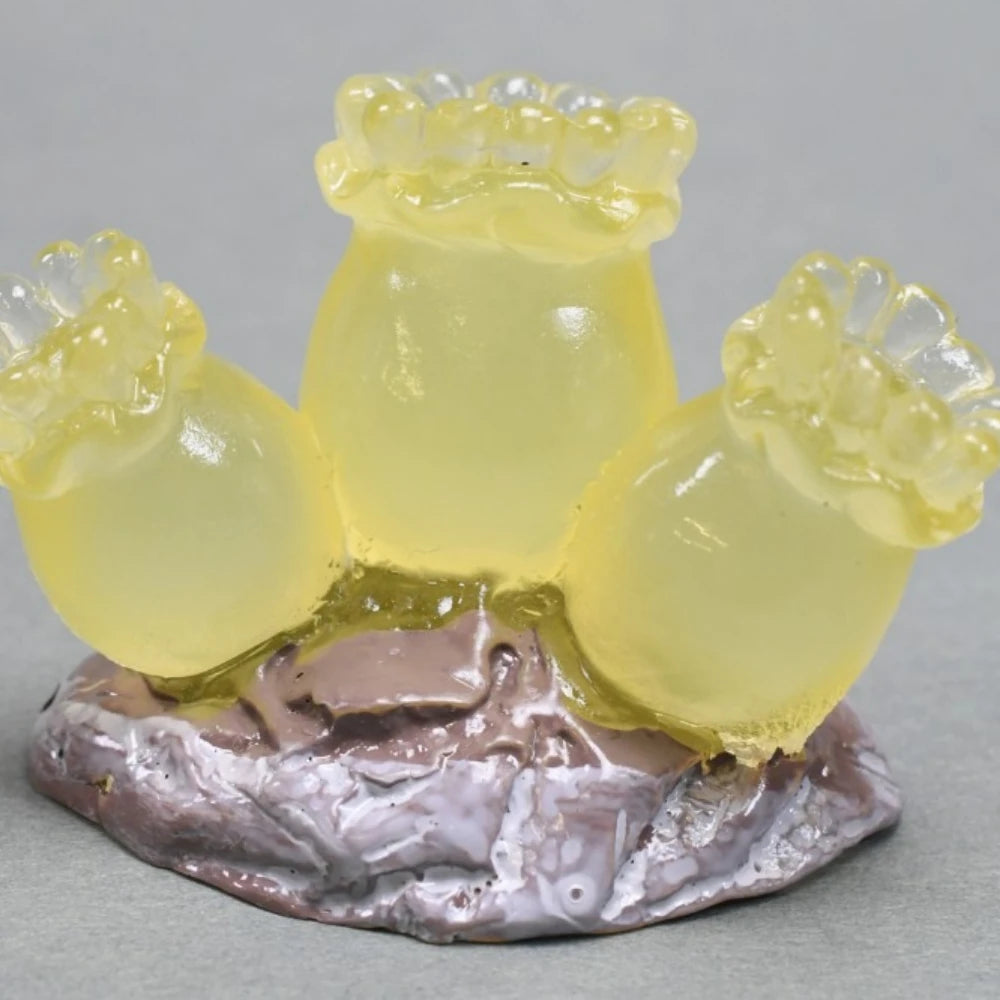 Corales fosforescentes (Amuse) — gachapon japonés, foto 2