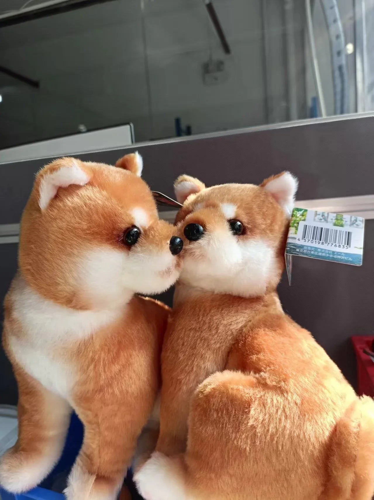 Shiba Inu ¡Ven aquí! — peluche grande (Yell) — Don Gachapón, foto 3