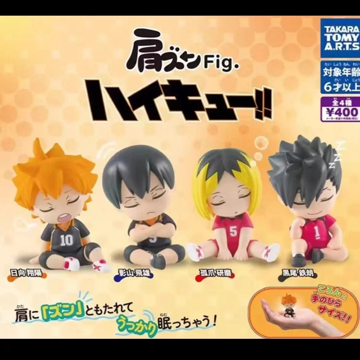 Haikyuu durmientes